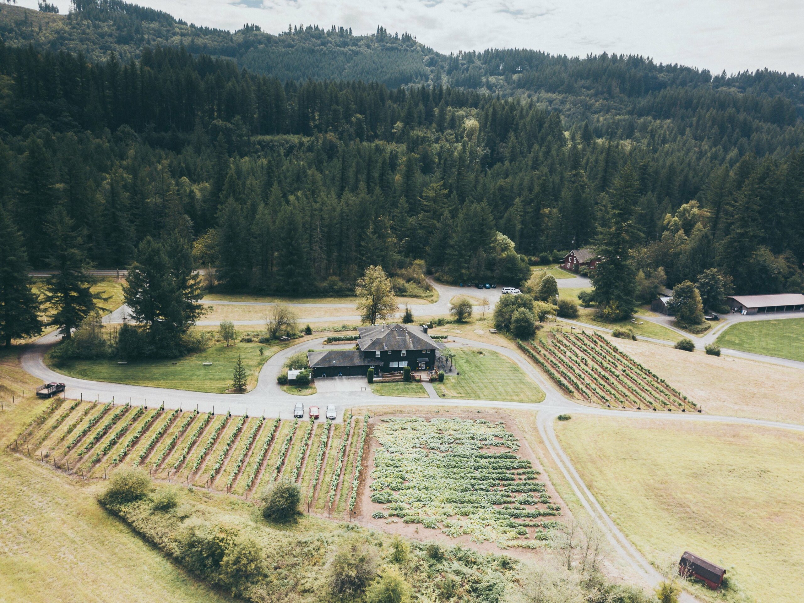Aerial Landscape of Pomeroy Cellars Terrain featuring a Vintage House Woods and Wine Fields